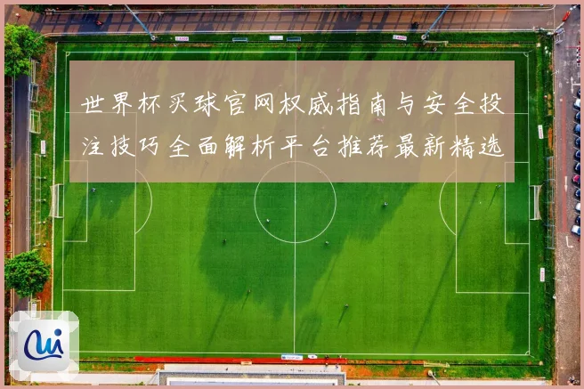 世界杯买球官网权威指南与安全投注技巧全面解析平台推荐最新精选